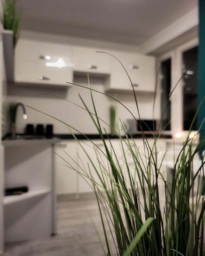 Apartament Green Mragowo-Mazury,Blisko Plaza, Centrum! Wi-Fi! ภายนอก รูปภาพ